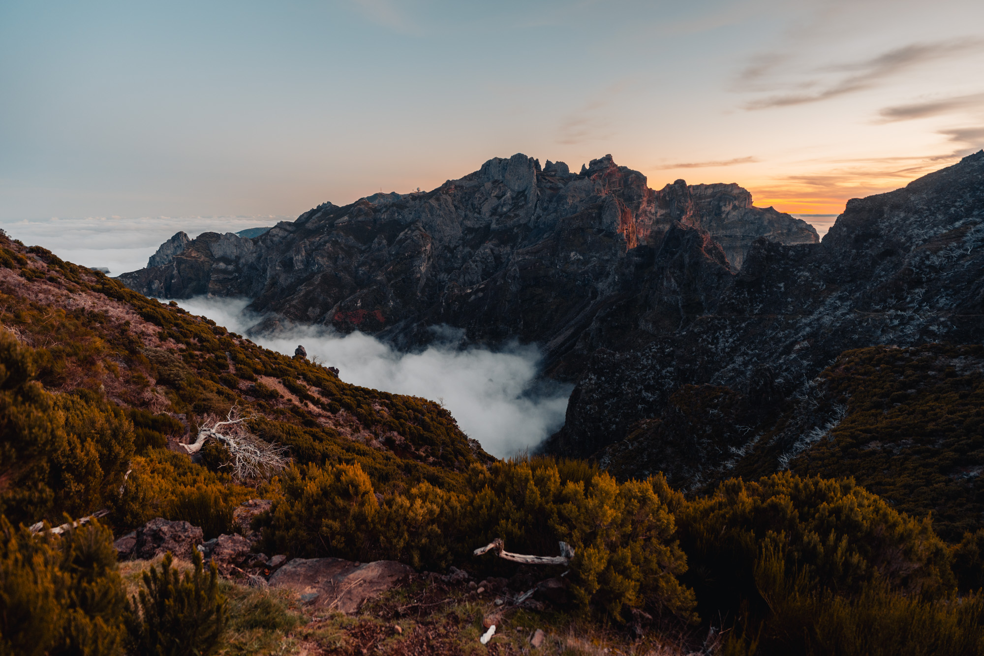 Madeira — travel photography by KØLTA Collective
