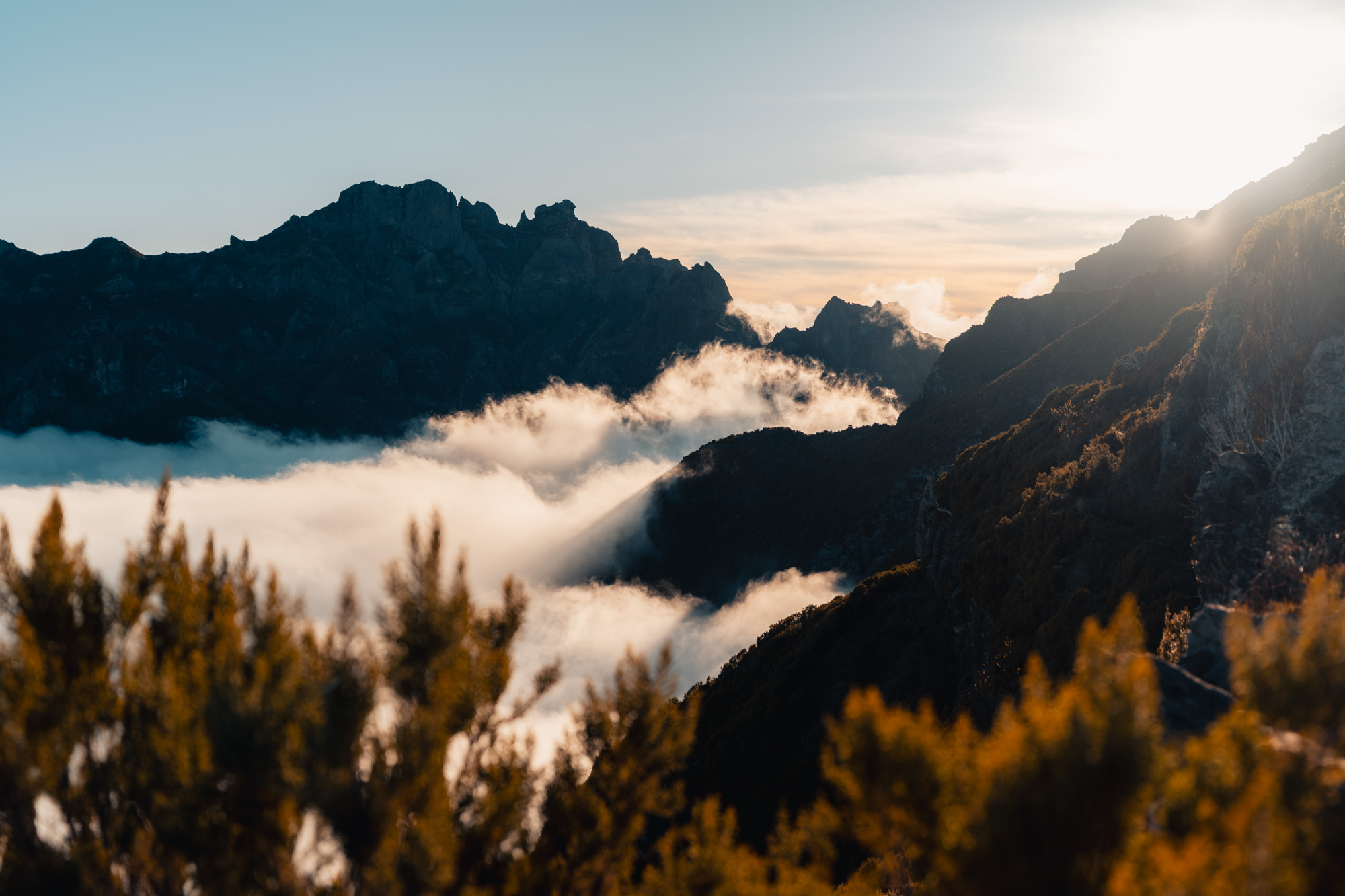 Madeira — travel photography by KØLTA Collective