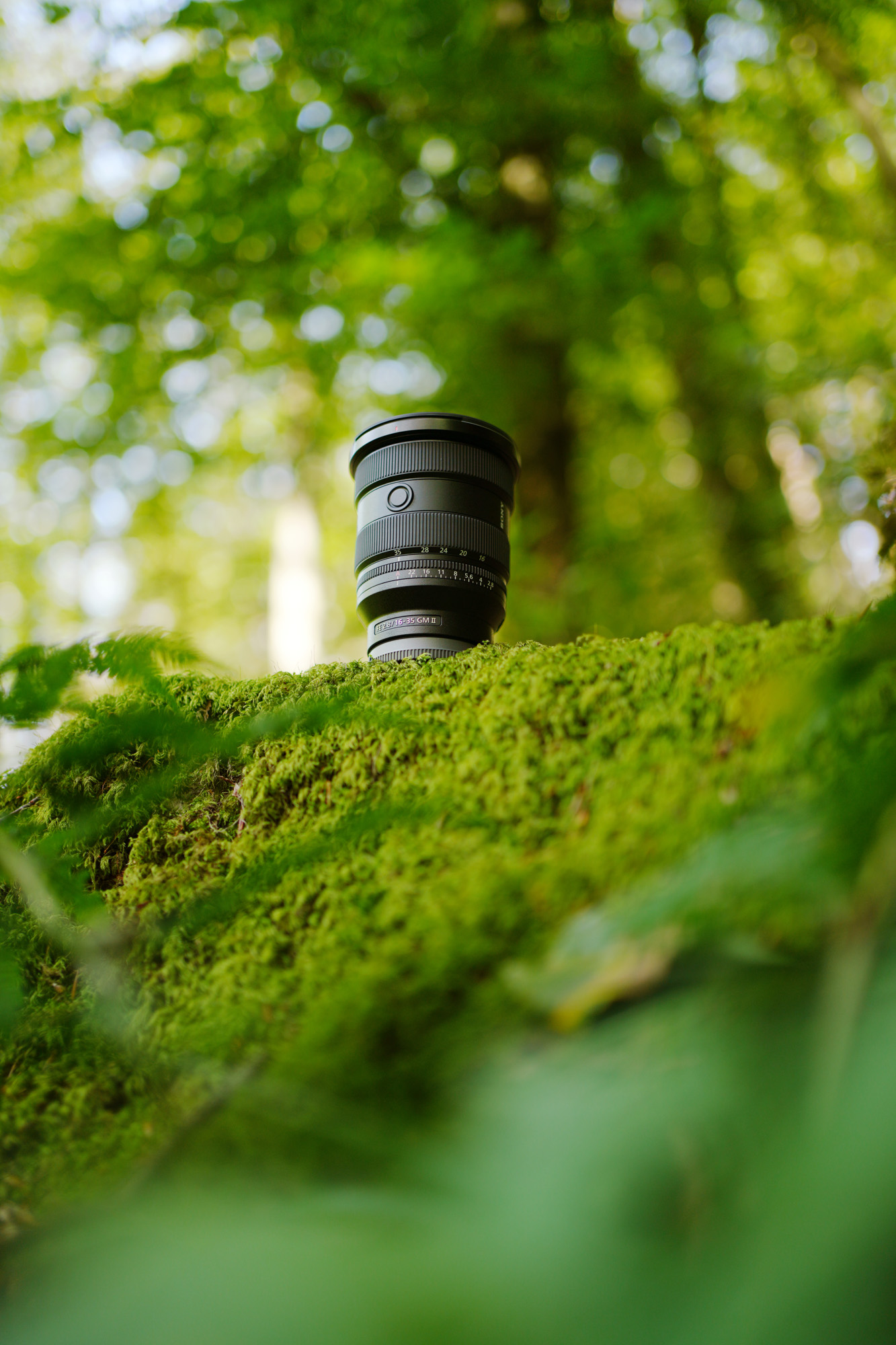 Luxembourg — travel photography by KØLTA Collective