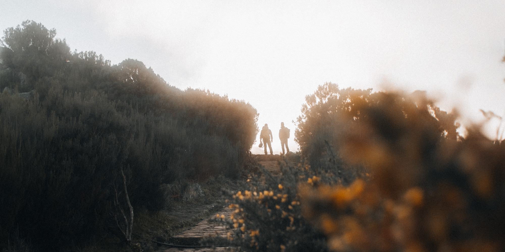 Madeira — travel photography by KØLTA Collective