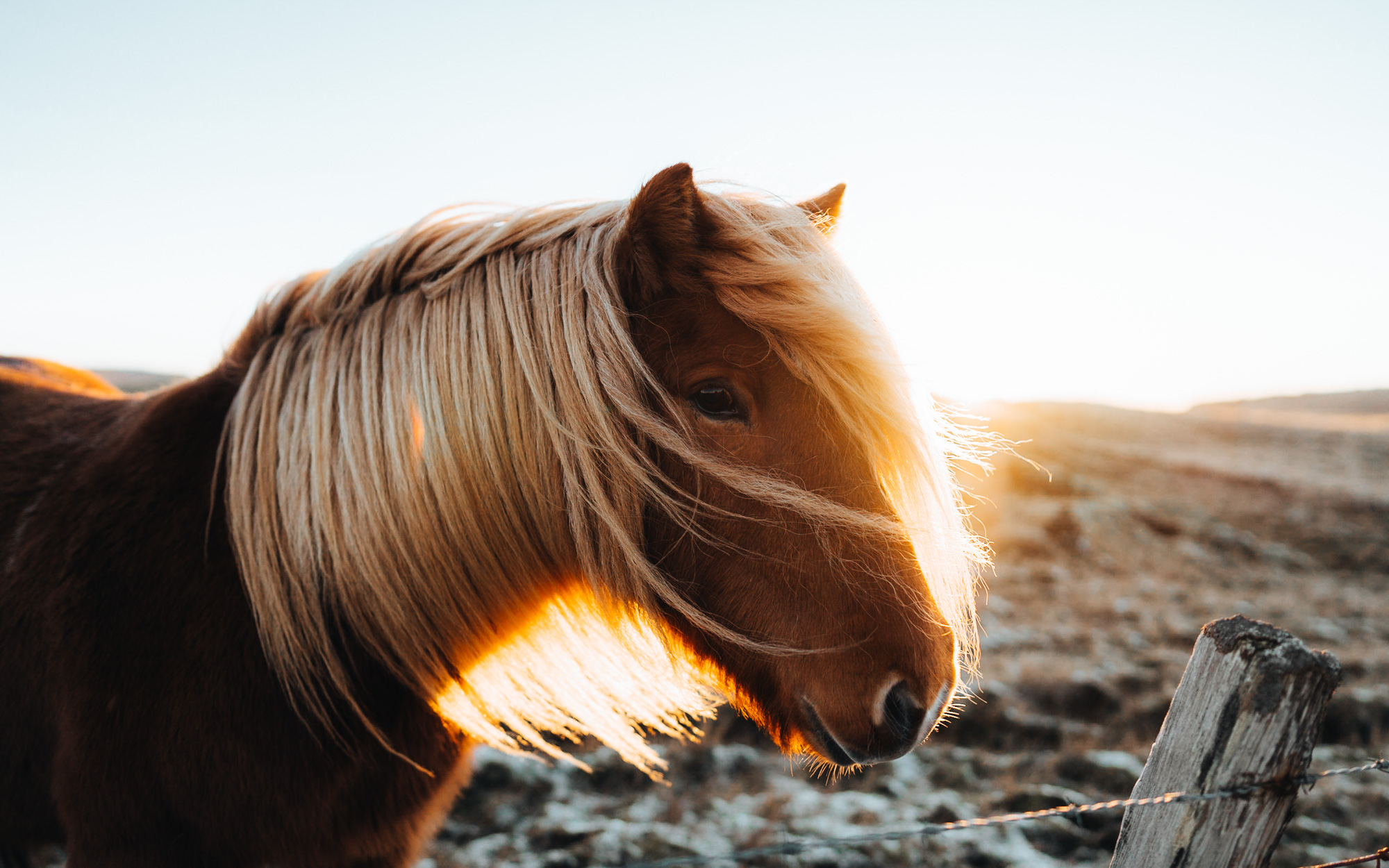 Iceland — travel photography by KØLTA Collective