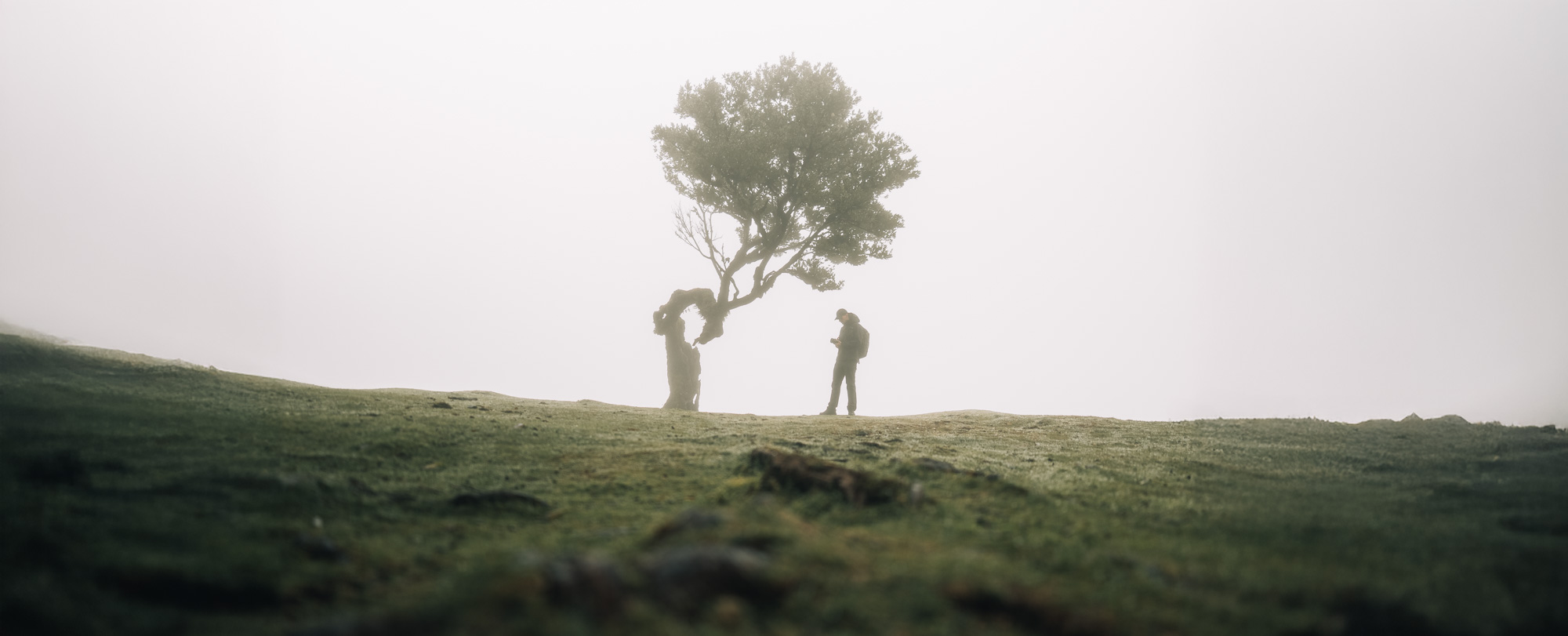 Madeira — travel photography by KØLTA Collective